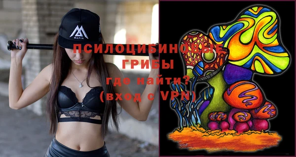 твердый Кукмор